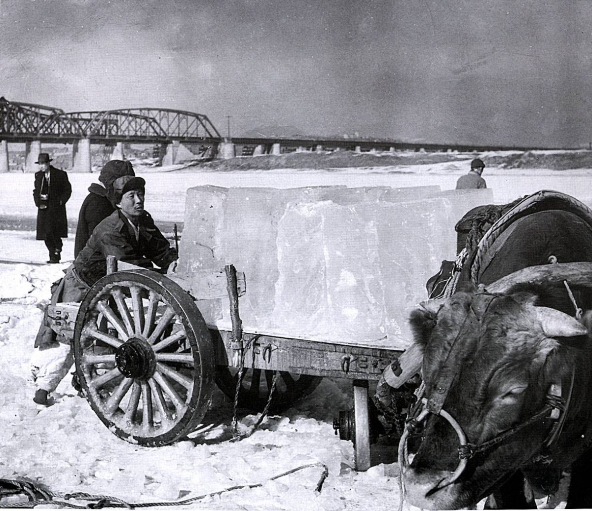 Loading ice from the frozen Han River onto a cart after ice collection. February 15, 1957. Photographer Park Bok-seon/ Republic of Korea Government Archives