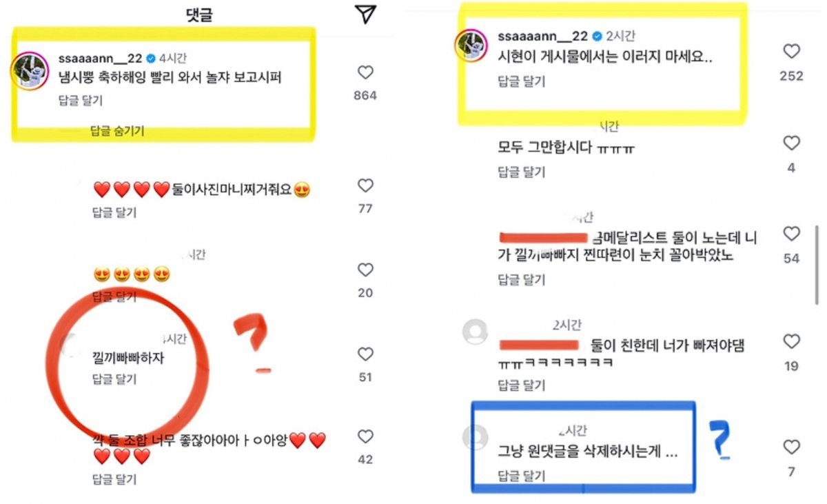 안산 선수에게 악플을 단 누리꾼. 임시현 인스타그램 캡처