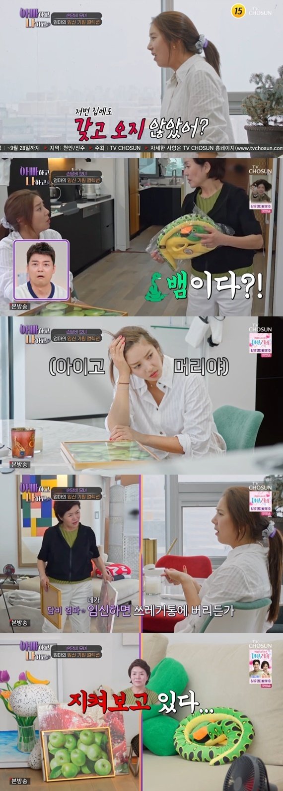 TV조선 ‘아빠하고 나하고’