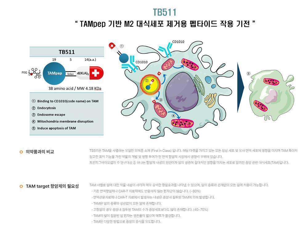 트윈피그바이오랩의 핵심 파이프라인인 TB511의 작용 기전 / 출처=트윈피그바이오랩