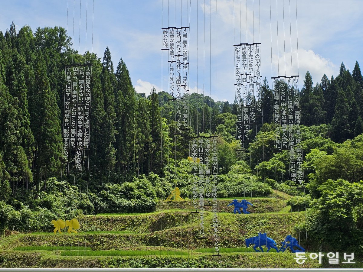 Terraced rice field installation at Nobutai Snow Country Culture Center.