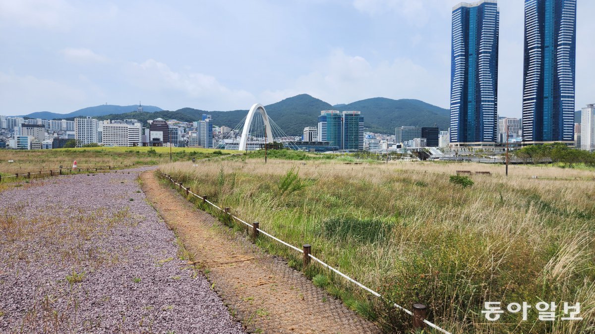 8일 오후 부산 동구 부산항친수공원 야생화단지 산책로에 잡초가 무성한 상태다. 오른쪽 야생화단지에는 이 시기 피어 있어야 할 황금색 금계국 등은 없었고 수풀만 우거졌다. 김화영 기자 run@donga.com