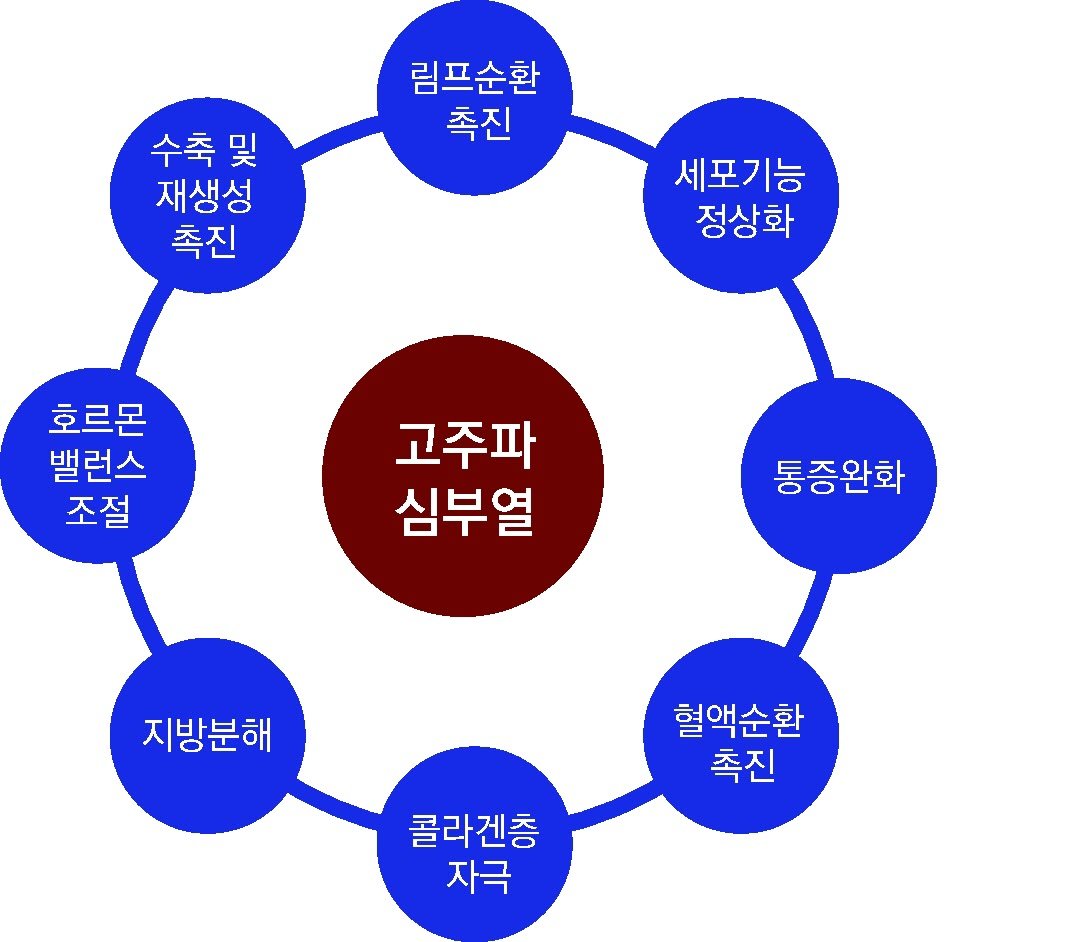 ■ 고주파에 의한 심부열 효과 고주파 에너지를 사용하는 열치료를 심부열 치료라 하며 열 에너지를 피부를 통하여 신체 조직에 투과시킨다는 뜻이다.