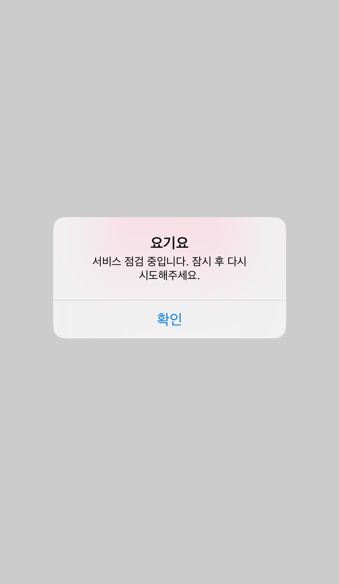 22일 오후 4시 쯤 요기요 앱이 가동되지 않는 모습. (독자 제보)