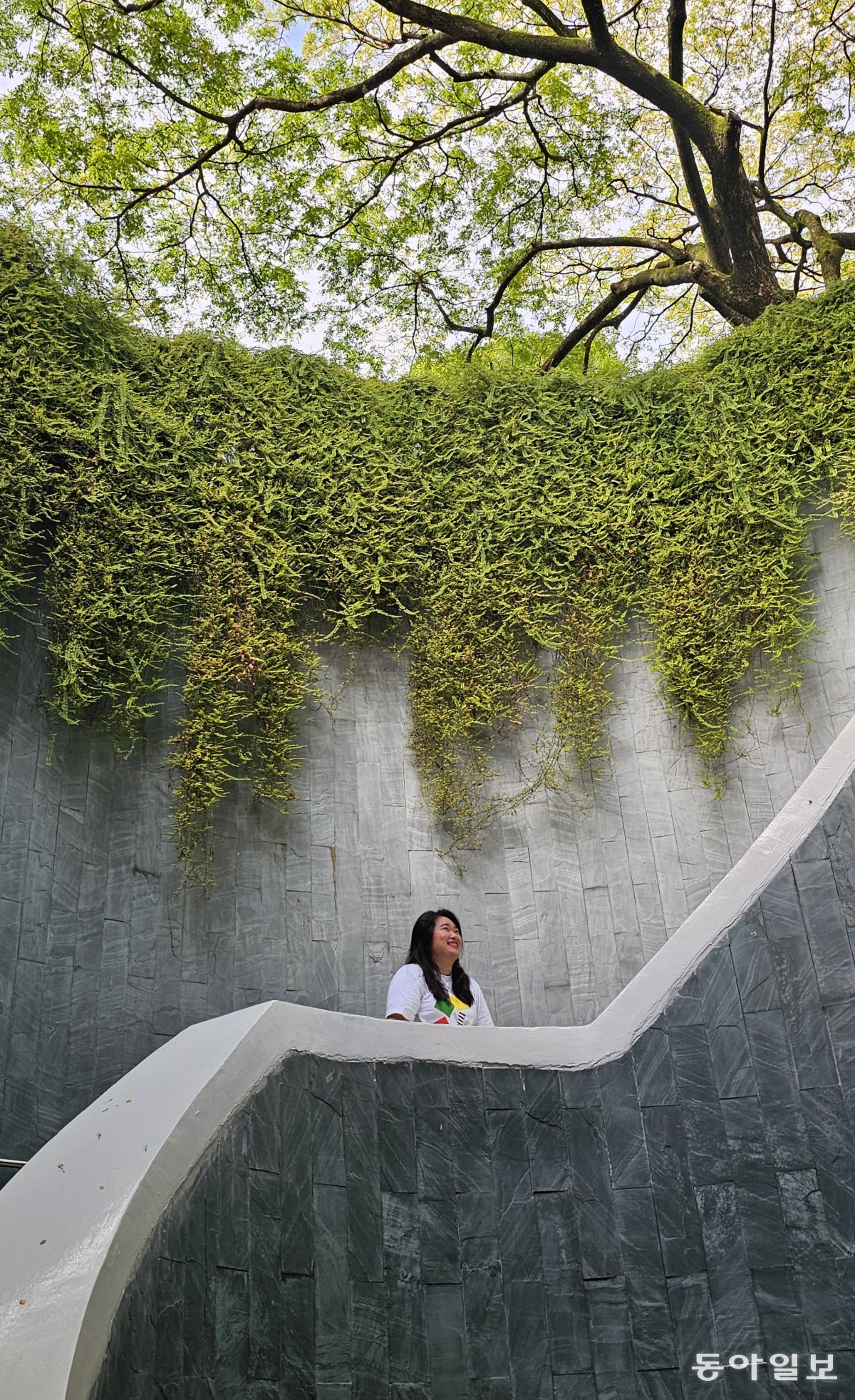 The tree tunnel at Fort Canning Park, famous as a photo zone.