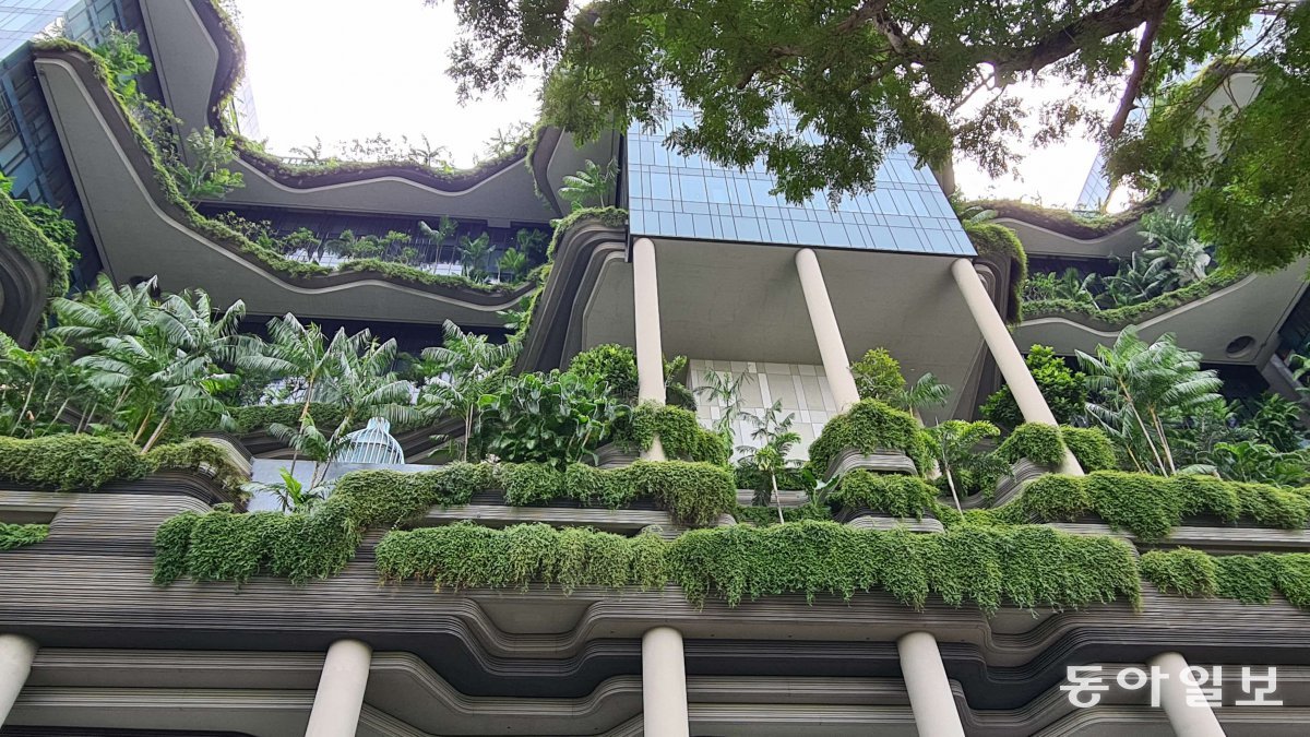 Park Royal Collection Hotel, with its walls decorated with greenery.