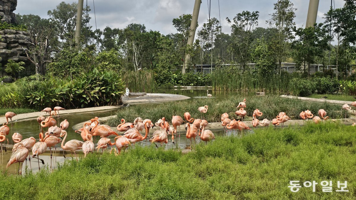 Bird Paradise, Asia's largest bird park.