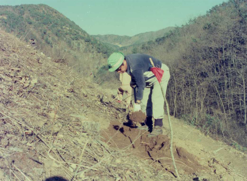 고 최종현 SK그룹 선대 회장이 1977년 3월 충북 충주 인등산에서 나무를 심고 있다. SK제공