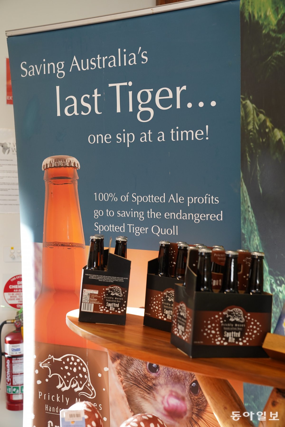 Craft beer that uses 100% of its profits to protect Tiger Qual. Art Road/Gipsland, Australia Reporter Jeon Seung-hoon raphy@donga.com