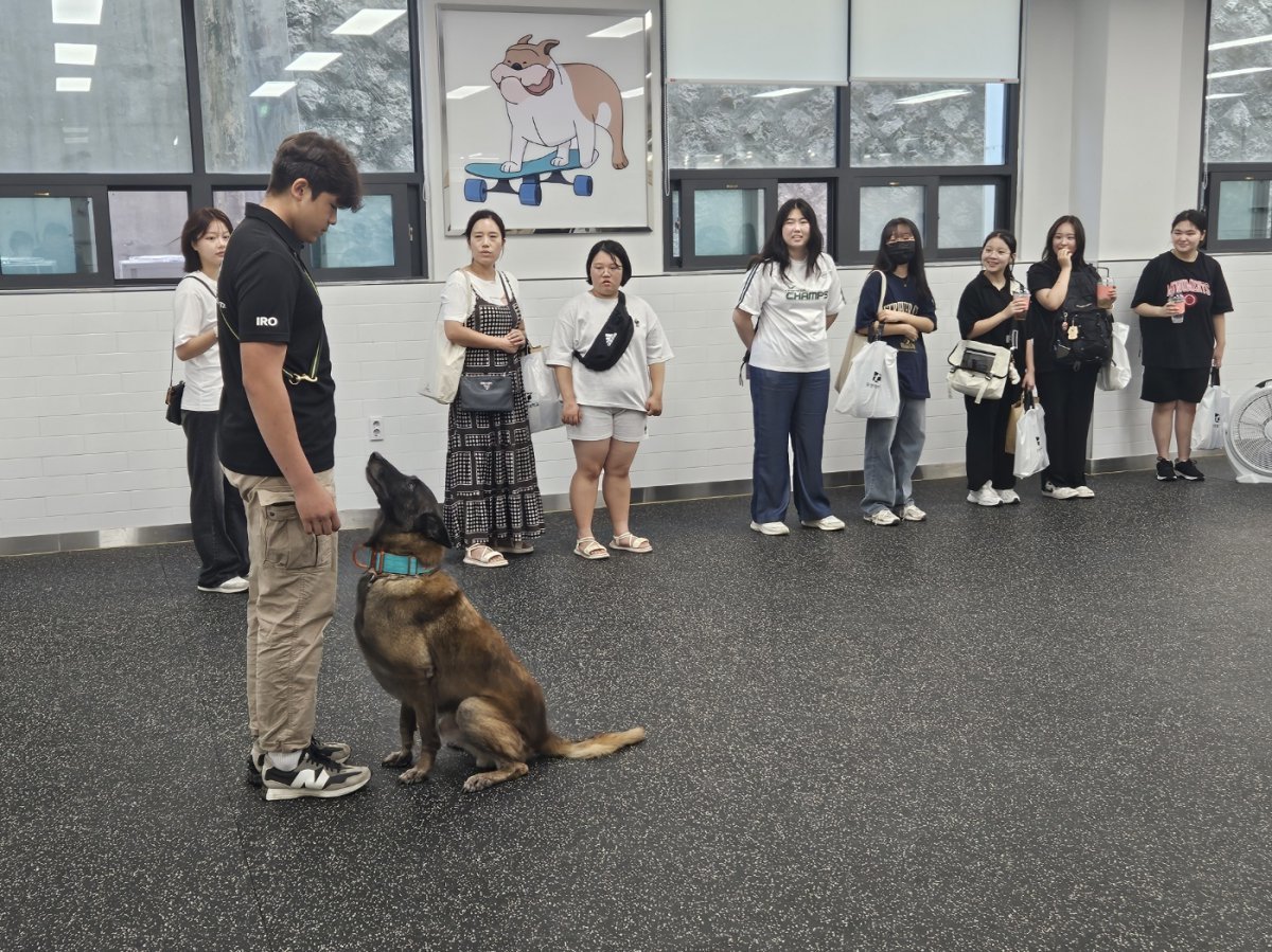 지난달 31일 부산 남구 신선로 동명대 캠퍼스에서 열린 ‘오픈캠퍼스 진로진학박람회’를 찾은 학생과 학부모들이 반려동물대학에서 반려견 행동을 교정하는 훈련 과정을 보고 있다. 동명대 제공