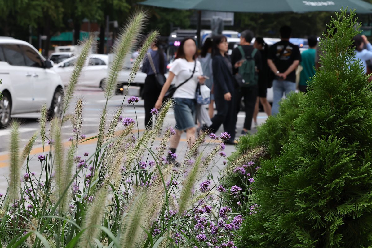 가을비가 내린 지난 2일 서울 종로구 광화문네거리에서 시민들이 출근길 발걸음을 재촉하고 있다. /뉴스1