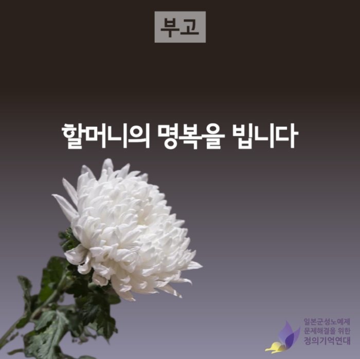 정의기억연대 홈페이지