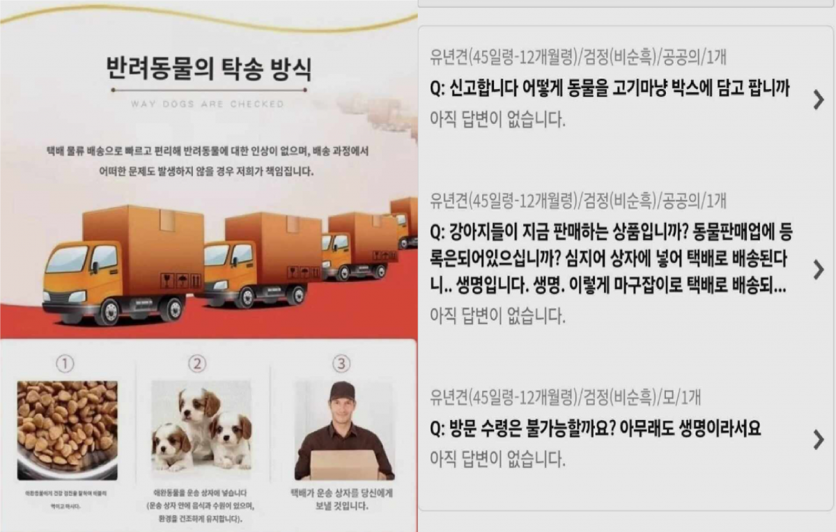 온라인 커뮤니티 갈무리