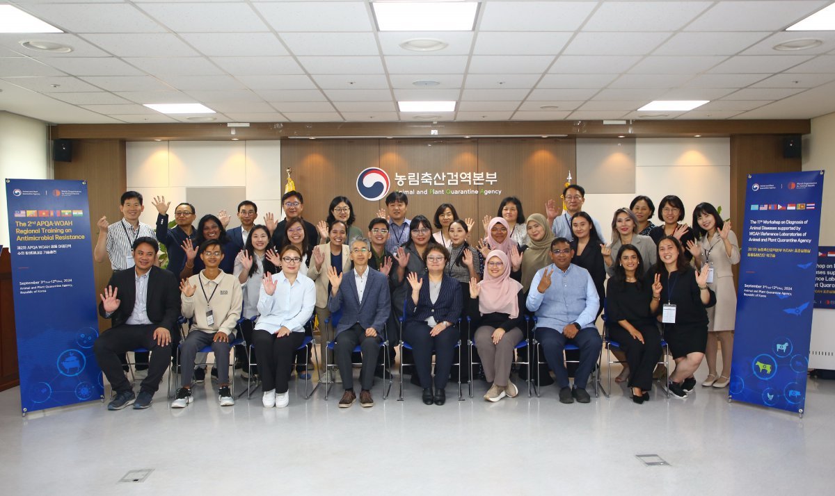 농림축산검역본부는 세계동물보건기구 아시아 회원국을 대상으로 ‘세계동물보건기구 표준실험실 동물 질병 진단 워크숍’과 ‘검역본부·세계동물보건기구 공동 항생제내성 기술훈련을 개최했다. 농림축산식품부 제공