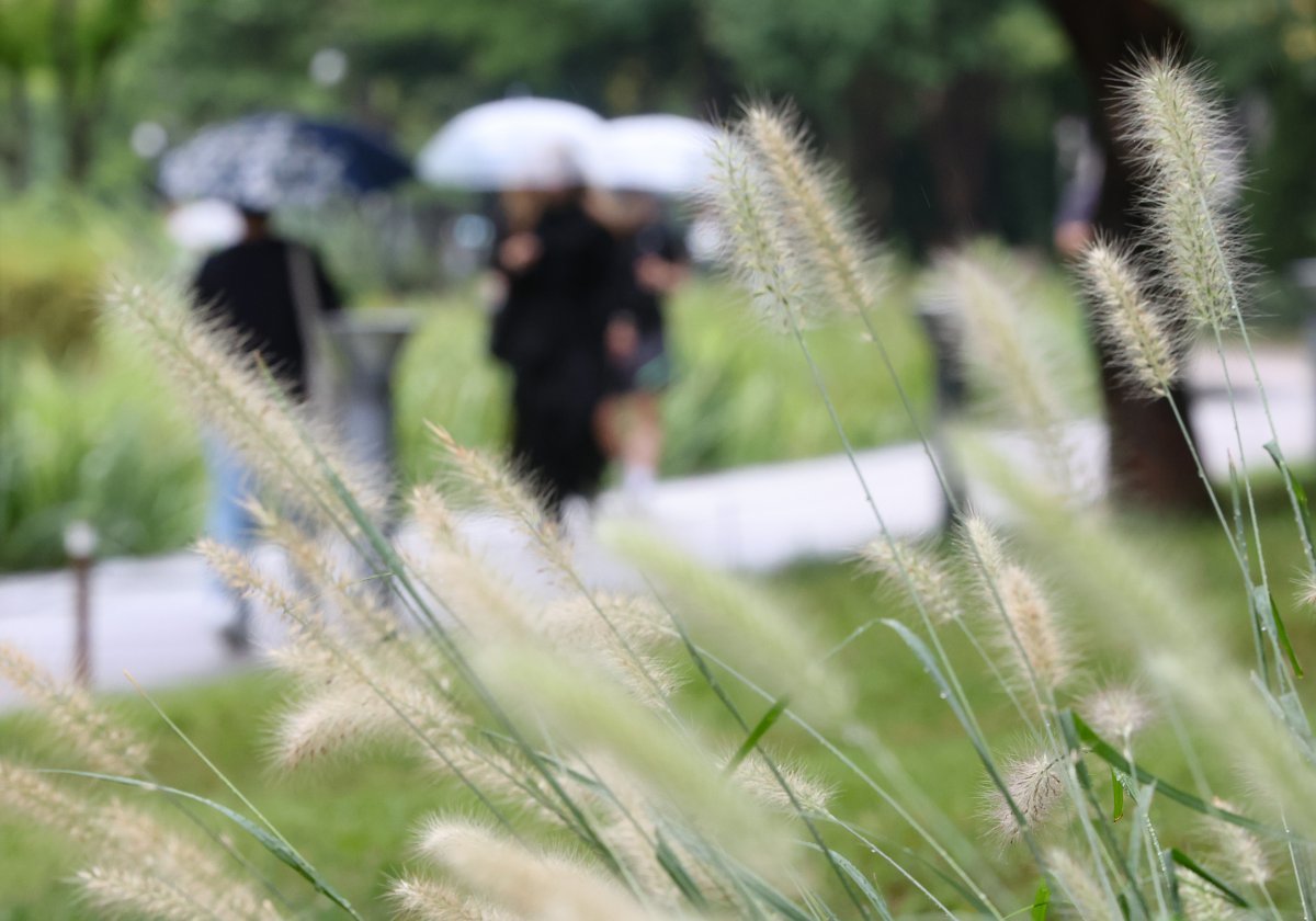 가을비가 내린 5일 서울 마포구 경의선 숲길에서 우산을 쓴 시민들이 발걸음을 옮기고 있다. 2024.09.05 [서울=뉴시스]