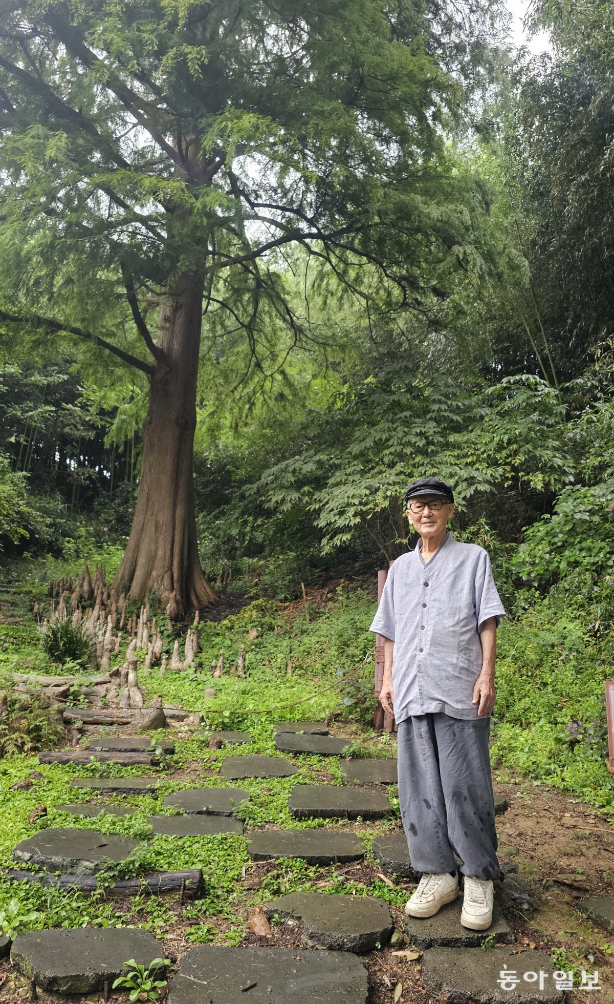 Director Lee Sam-woo standing in front of the 'King Tree' of the Gicheongsan Botanical Garden. Pohang=Reporter Kim Seon-mi kimsunmi@donga.com