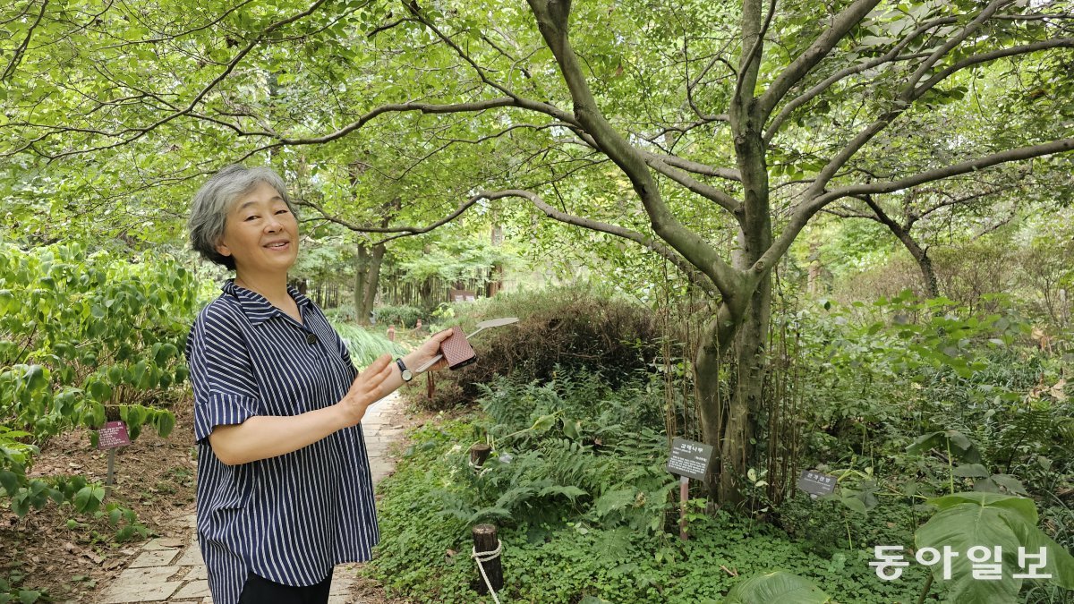 Lee Eun-sil, vice director of the Gicheongsan Botanical Garden, is explaining various parts of the garden. Pohang=Reporter Kim Seon-mi kimsunmi@donga.com