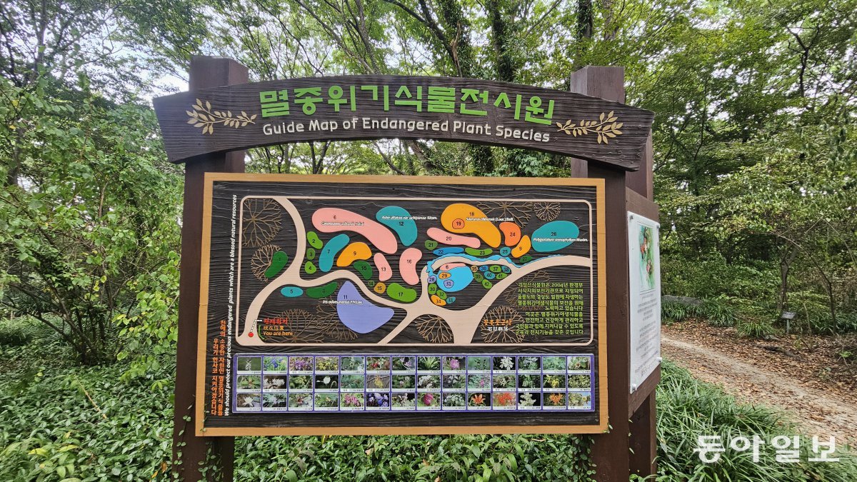 Endangered Plant Exhibition Hall at Gicheongsan Botanical Garden. Pohang=Reporter Kim Seon-mi kimsunmi@donga.com