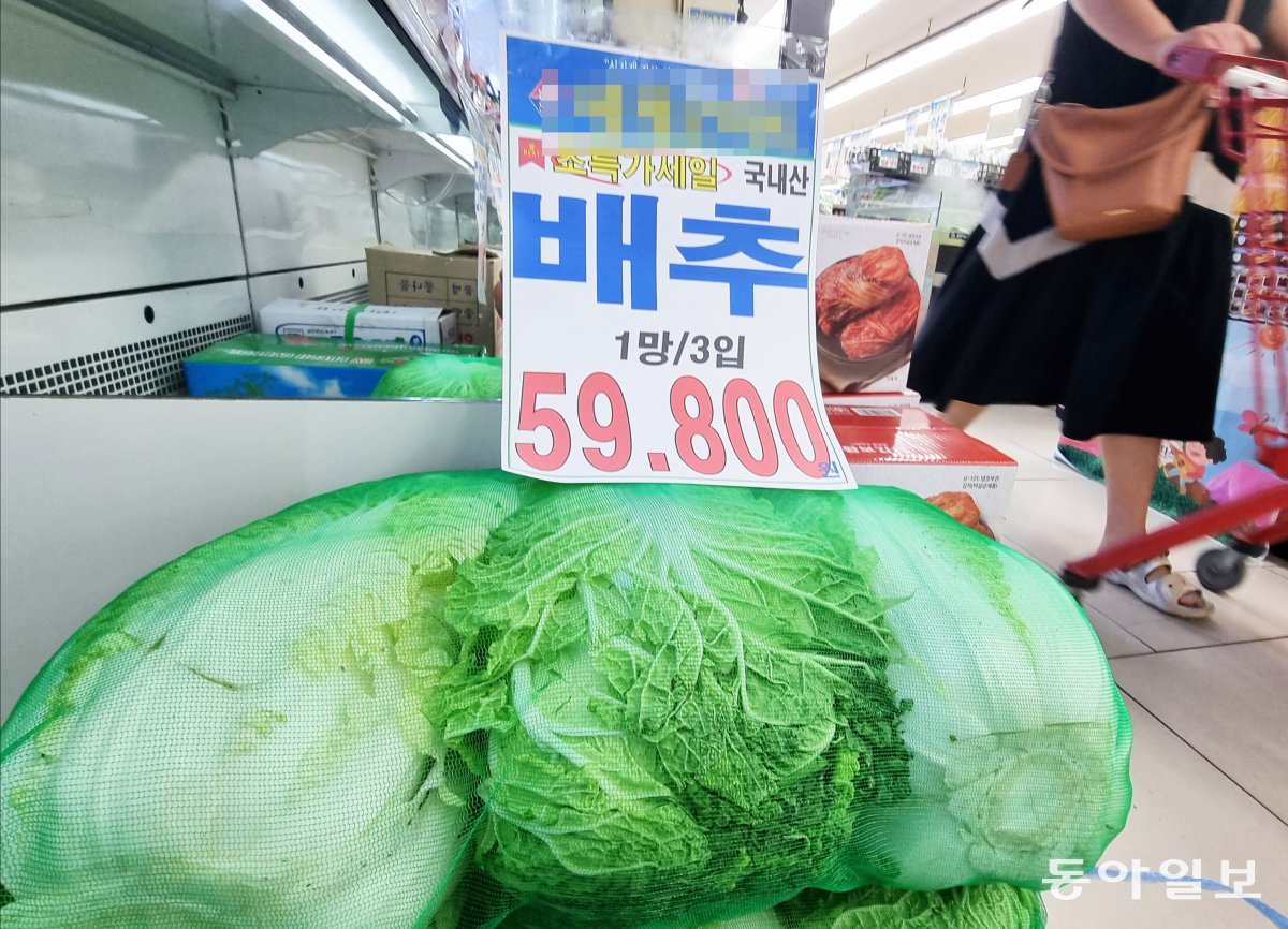 23일 오후 서울의 한 식자재 마트에서 배추가 판매되고 있다.장승윤 기자 tomato99@donga.com