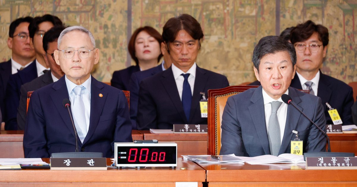 정몽규 대한축구협회장이 24일 오전 서울 여의도 국회 문화체육관광위원회에서 열린 대한축구협회 등에 대한 현안질의에 출석해 의원 질의에 답하고 있다. 왼쪽은 유인촌 문화체육관광부 장관, 두번째 줄 가운데는 홍명보 남자 축구대표팀 감독. 2024.9.24/뉴스1