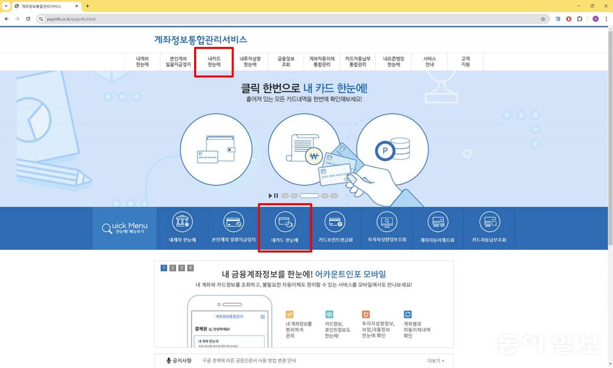 브라우저에서 ‘어카운트인포’를 검색한 후 접속하면 보유 카드 및 다양한 금융정보 확인이 가능합니다. / 출처=IT동아