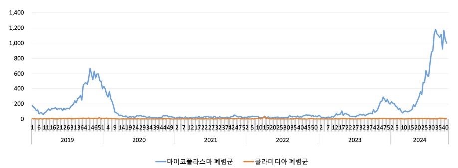 2019~2024 세균성 급성호흡기감염증 입원환자 신고현황. (질병청 제공)