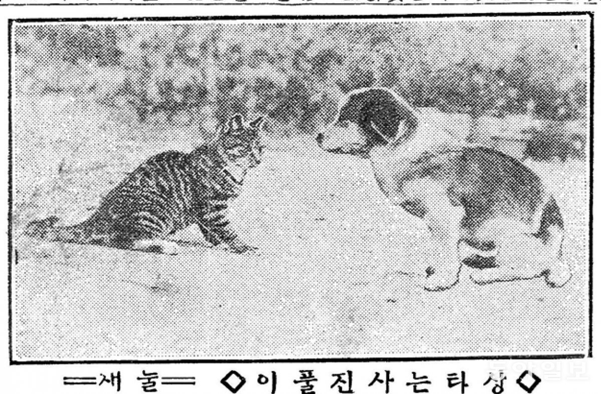 1924년 10월 13일자 동아일보.