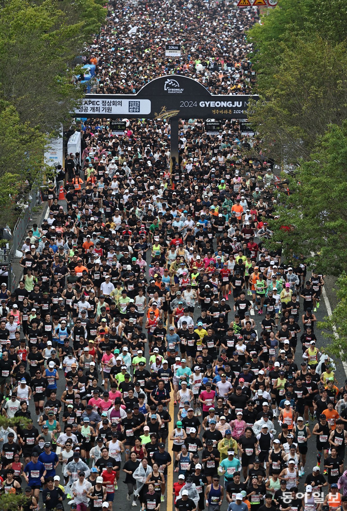 2024 경주국제마라톤 참가자들이 19일 출발지인 경북 경주시민운동장 앞 도로를 달려 나가고 있다. 이번 대회 마스터스 부문엔 역대 가장 많은 1만2000명이 참가해 신라 고도(古都) 경주의 가을을 즐기며 레이스를 벌였다. 경주=양회성 기자 yohan@donga.com