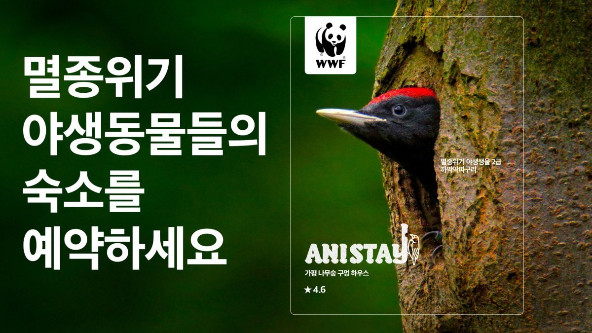 국제 환경단체 세계자연기금(WWF)이 진행 중인 멸종위기 동물 서식지 보호 캠페인 이미지. WWF 제공