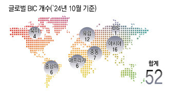 글로벌 BIC 개수(2024년 10월 기준)