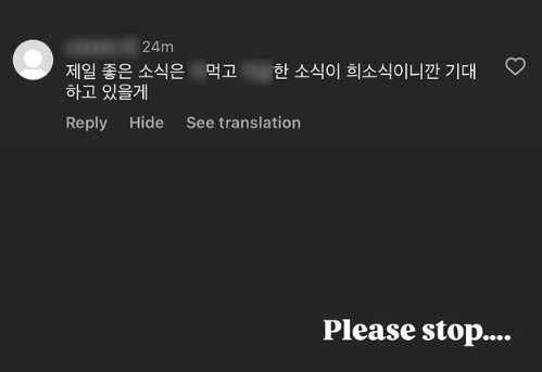 제시가 누리꾼의 악플을 캡처해 올리며 “Please stop”(제발 멈춰달라)이라고 적었다. 제시 인스타그램 스토리 캡처