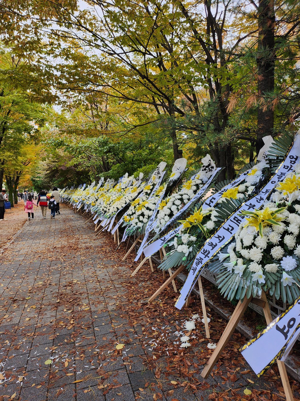 경기 성남시 분당구의 ‘시의원 자녀’ 학폭 논란을 빚은 한 초등학교 앞 모습. ⓒ News1