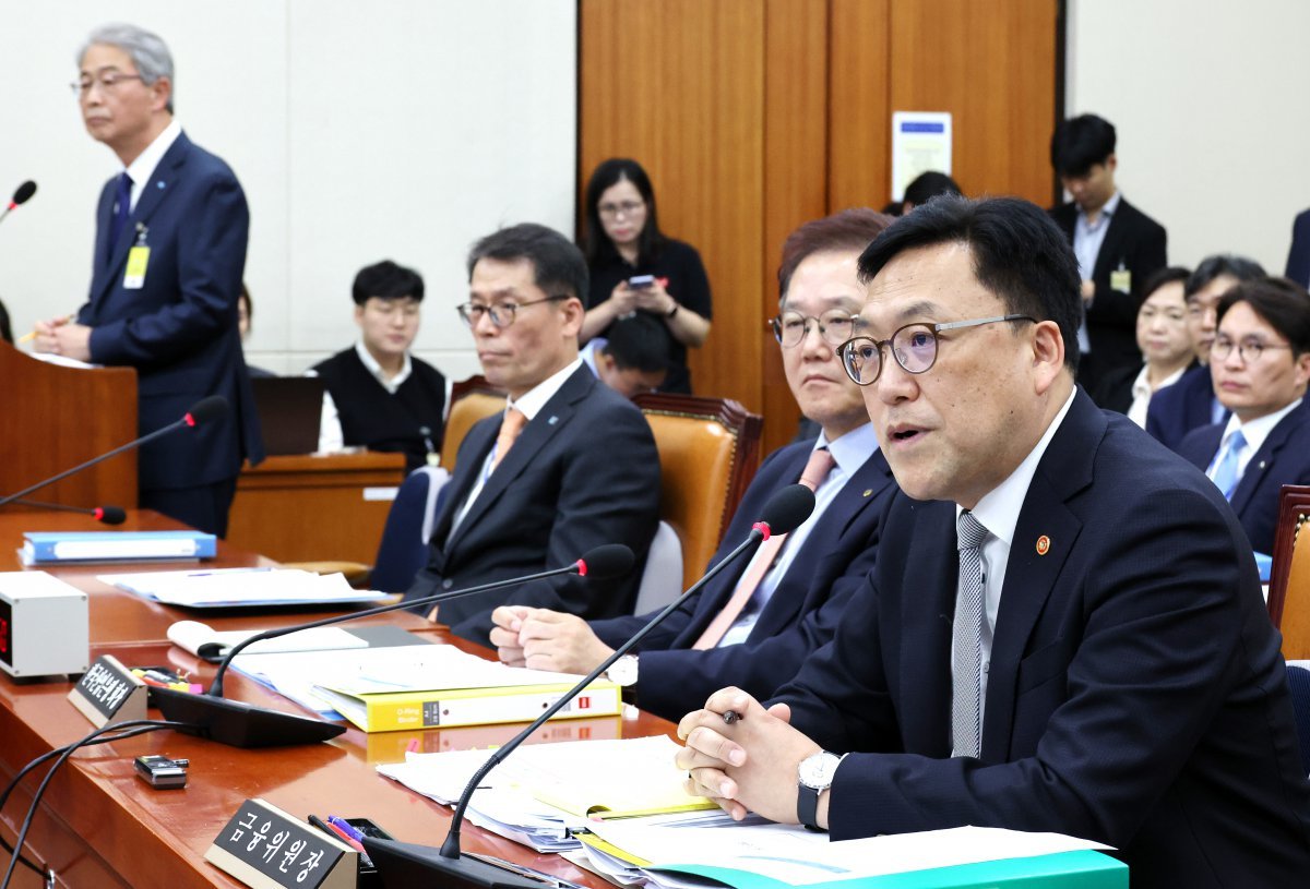 김병환(오른쪽) 금융위원회 위원장이 10일 오후 서울 여의도 국회에서 열린 정무위원회의 금융위원회, 한국산업은행, 중소기업은행에 대한 국정감사에서 의원 질문에 답변하고 있다. 왼쪽은 임종룡 우리금융그룹 회장. 2024.10.10. [서울=뉴시스]