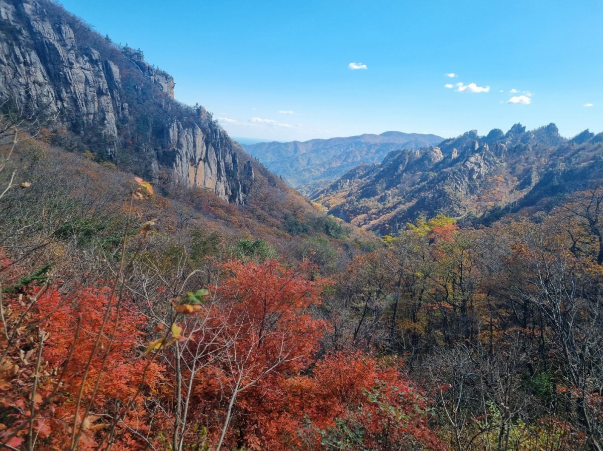 설악산국립공원 한계령 일대에 붉게 단풍이 물들어 가고 있다. ⓒ News1