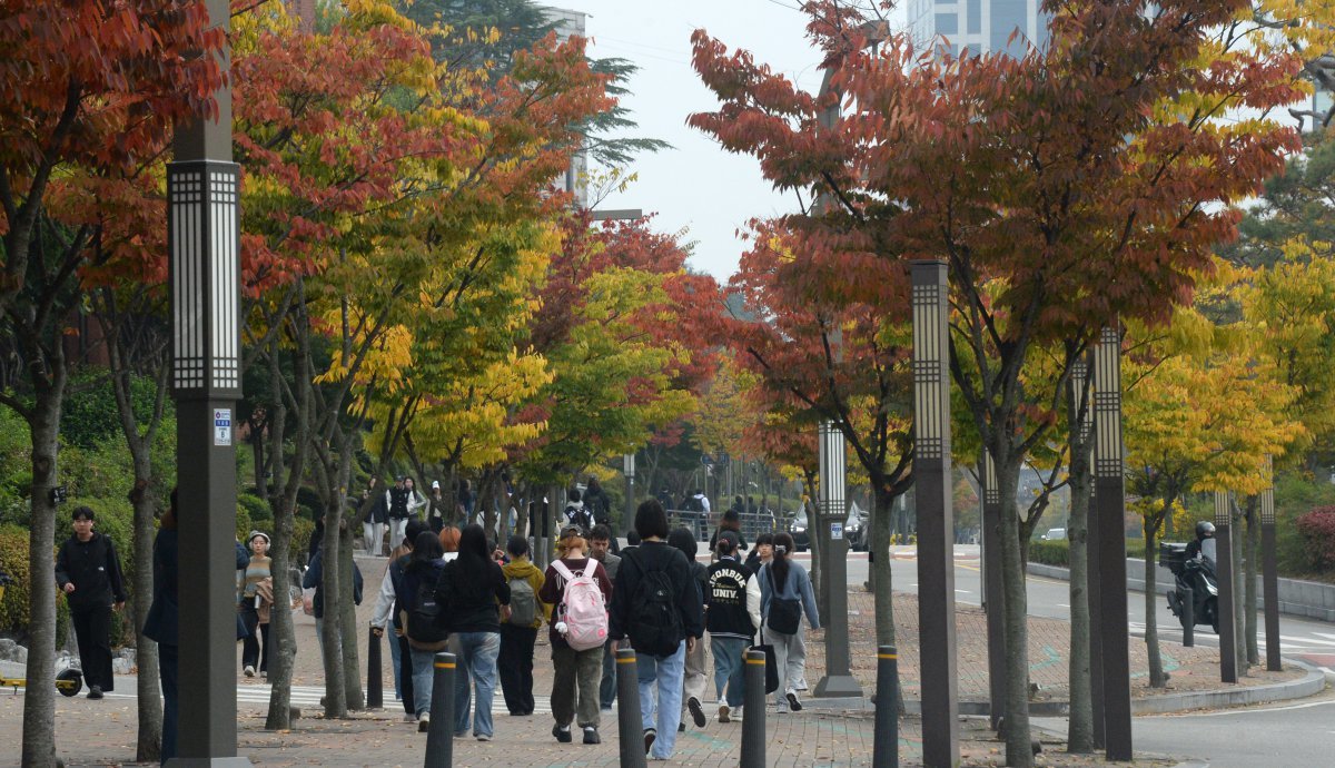 완연한 가을 날씨가 이어지고 있는 28일 전북 전주시 전북대학교 교정의 가로수가 형형색색 물들어가고 있다. 2024.10.28. [전주=뉴시스]