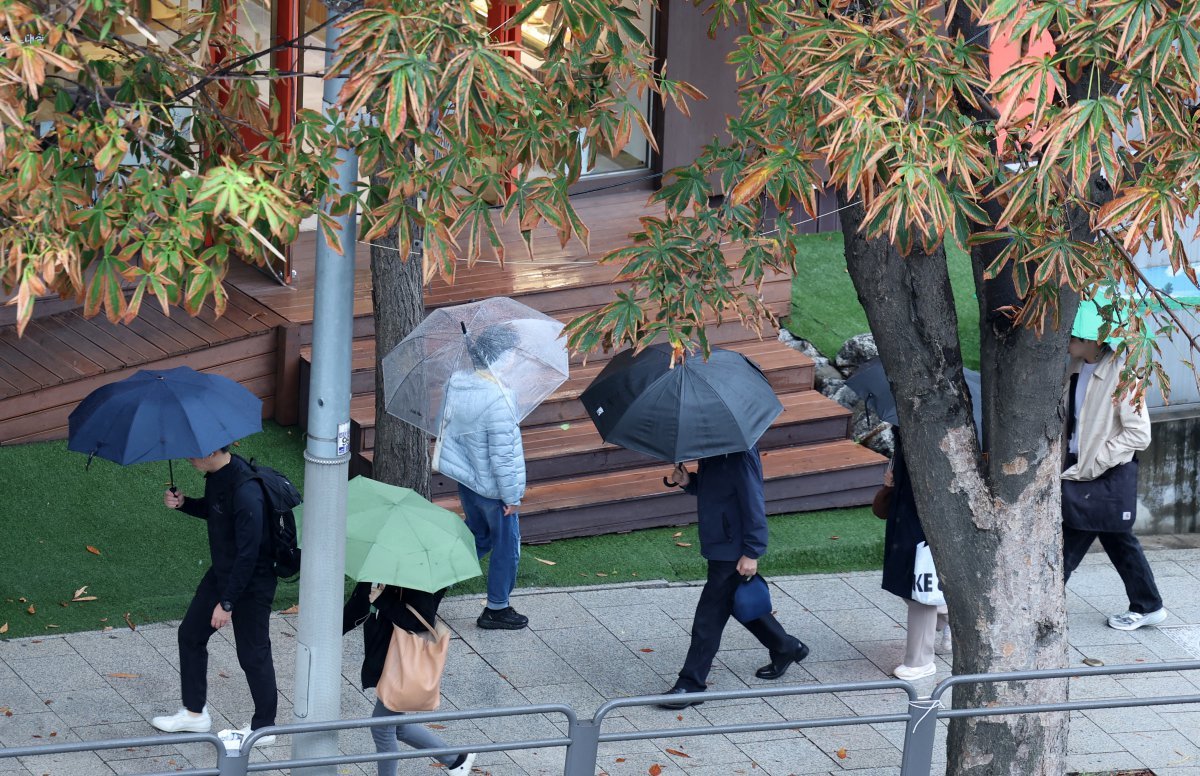 비가 내리고 있는 22일 오전 서울 서초구 서울중앙지방법원 인근에서 시민들이 우산을 쓰고 걸어가고 있다. 2024.10.22. 뉴시스