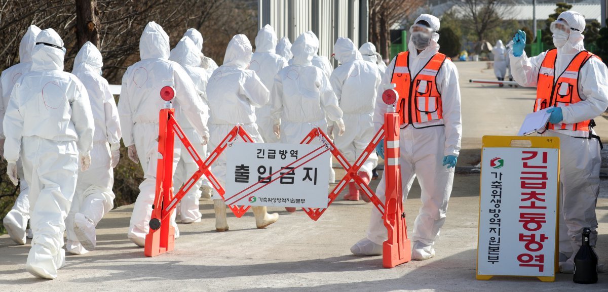 고병원성 조류인플루엔자(AI)가 발생해 출입이 통제되고 있다. ⓒ News1