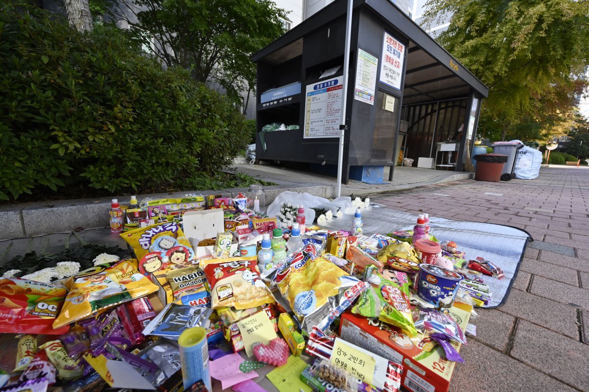 31일 초등학생이 후진하던 폐기물 수거차량에 치여 숨진 광주 북구 신용동 모 아파트 단지 내 사고 현장에 추모의 의미를 담은 국화와 과자 등이 놓여있다. 2024.10.31.  [광주=뉴시스]