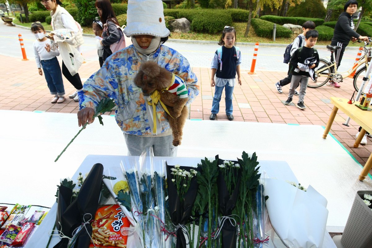 31일 오후 광주 북구 한 아파트단지 내에서 한 시민이 재활용품 수거 차량에 치어 숨진 초등학교 1학년 A 양을 추모하고 있다. 2024.10.31/뉴스1