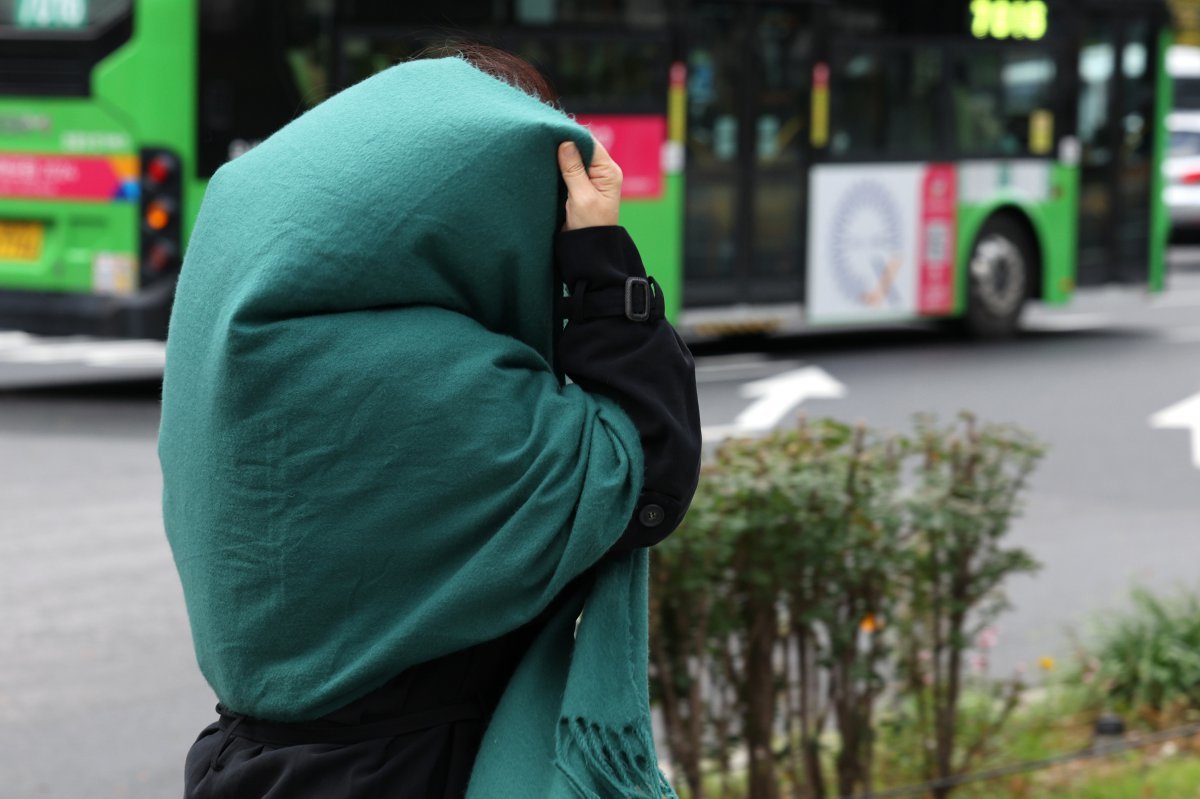 절기상 서리가 내린다는 ‘상강(霜降)’인 23일 오전 서울 광화문네거리에서 한 시민이 목도리로 얼굴을 두르고 있다. 기상청은 이날 찬바람이 강하게 불며 춥고 내일 아침 서울 최저 기온이 7도까지 떨어질 것으로 예보했다. 2024.10.23/뉴스1