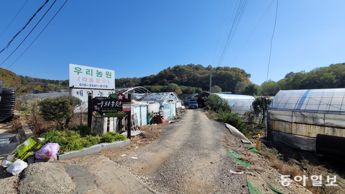 개발제한구역(그린벨트) 해제 후보지로 선정된 서울 서초구 염곡동 일대에 6일 꽃과 채소 등을 기르는 비닐하우스가 다수 설치돼 있다. 훼손도가 높아 그린벨트로서 가치가 낮다는 지적이 제기돼 왔다. 이축복 기자 bless@donga.com