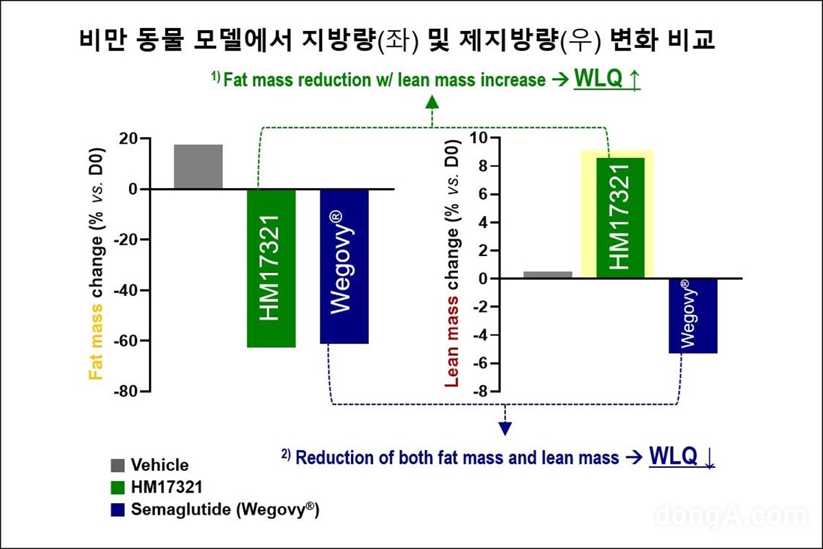 비만동물모델에서 지방량(왼쪽) 및 제지방량 변화 비교