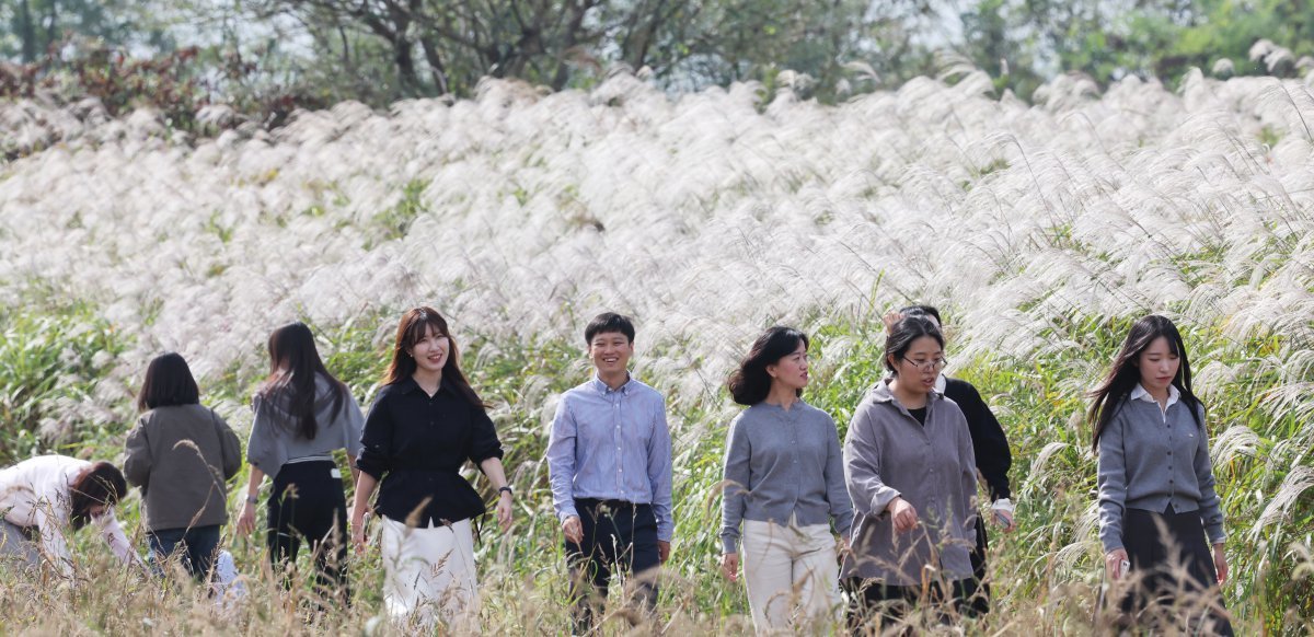 16일 광주 서구 극락교 영산강변을 찾은 관광객들이 은빛 억새밭을 걸으며 가을 정취를 만끽하고 있다. 2024.10.16.뉴스1