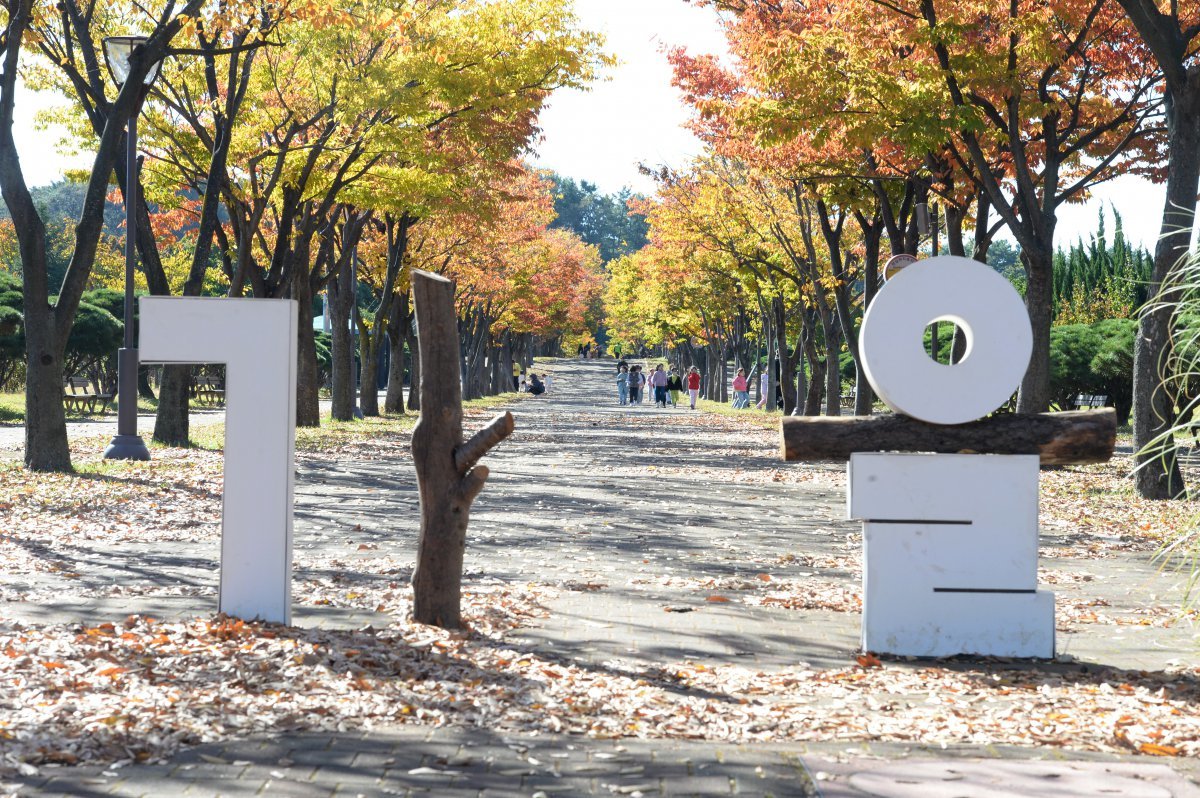 기온이 떨어지며 쌀쌀한 날씨를 보인 6일 오전 울산 남구 문수체육공원을 찾은 시민들이 낙엽을 밟으며 가을 정취를 만끽하고 있다. 2024.11.06. [울산=뉴시스]