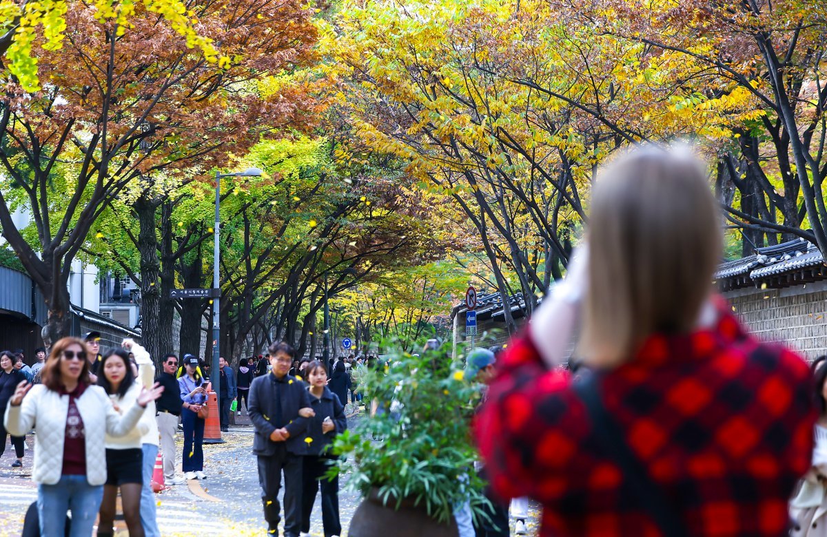 서울의 낮 최고기온이 24도 가까이 오르는 등 포근한 날씨를 보인 3일 오후 서울 중구 덕수궁 돌담길에 단풍이 물든 가운데 외국인 관