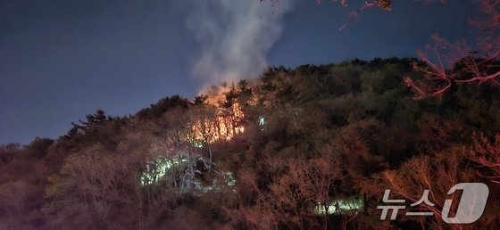 지난 4월13일 불이 났던 부산 사하구 천마산 모습. 사하경찰서 제공