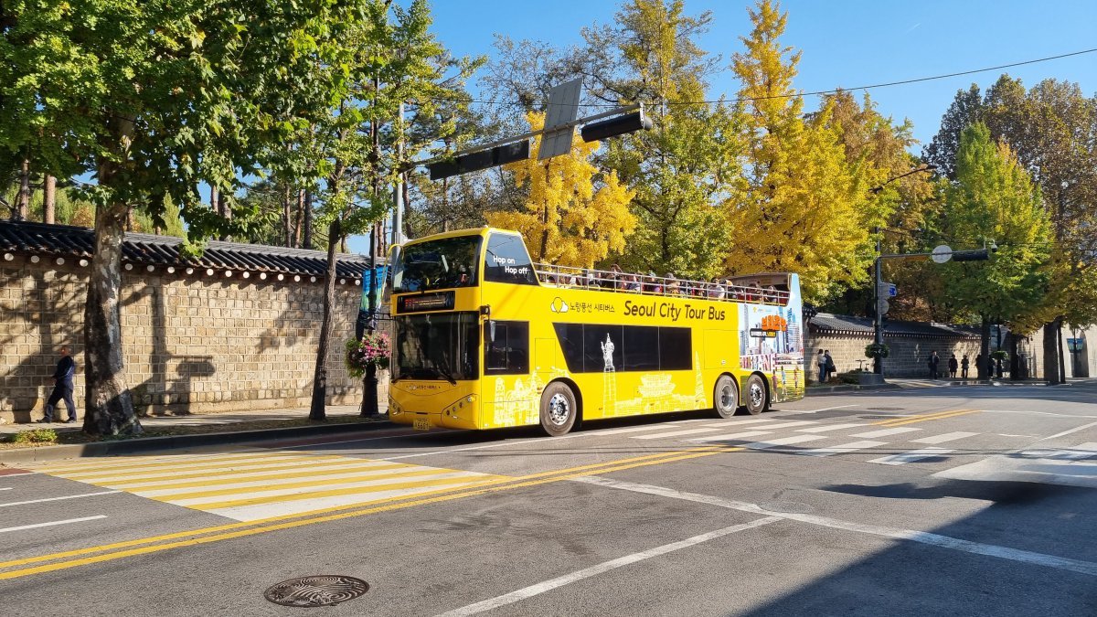 가을 서울 풍경을 즐기는 시티투어버스(노랑풍선 제공)