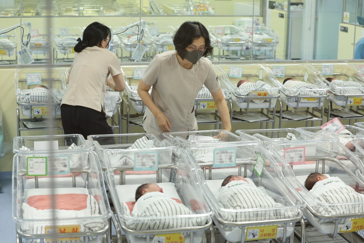 인천 미추홀구 아인병원에 마련된 신생아실에서 신생아들이 휴식을 취하고 있다. 2024.6.19/뉴스1 ⓒ News1