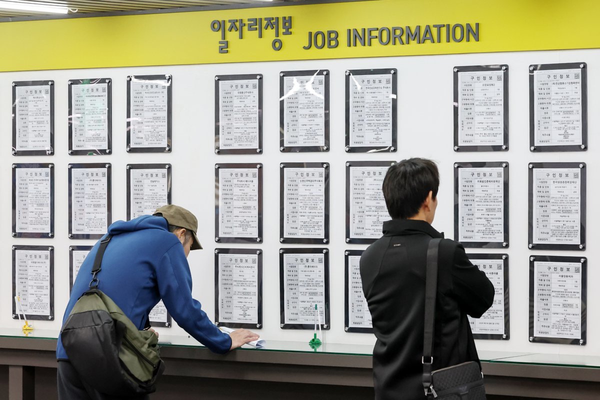 지난 13일 서울 마포구 서부고용복지플러스센터에서 구직자들이 일자리 정보 게시판을 살펴보고 있다. 2024.11.13 뉴스1