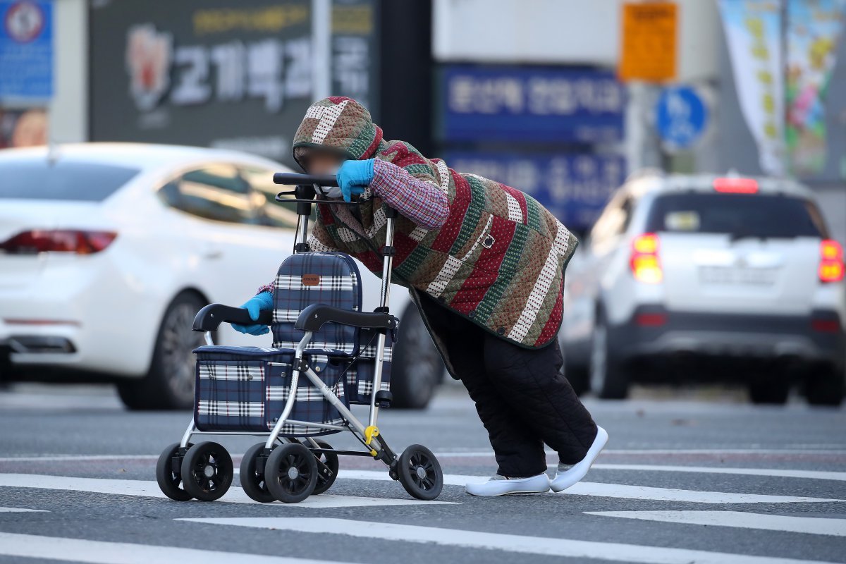 초겨울 추위가 이어진 19일 오전 대구 도심에서 한 노인이 보행보조기에 의지한 채 횡단보도를 건너고 있다. 2024.11.19 뉴스1